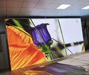 江门蓬江区会议室P2.5LED大屏幕量大从优,LED室内全彩屏