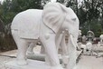 宁波白天鹅动物雕像厂家