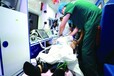 北京301医院救护车预约电话-各种转院-长途跨省