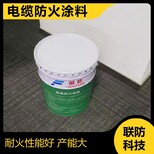 海南电缆防火涂料涂层薄图片3