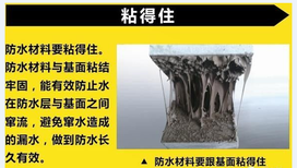 重庆销售长效自能防水膏图片2