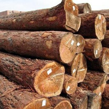 福州从事木材进口清关代理服务