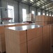 丹东建筑覆膜模板供应商,工程专用优质覆膜板