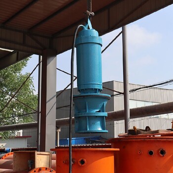 廊坊轴流泵厂家专利技术打造耐热型高扬程潜水电泵