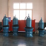 德能泵业专利技术打造温泉型潜水电泵专利图片0