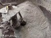 永定縣耐磨膠泥龜甲網耐磨膠泥防磨膠泥,龜甲網耐磨膠泥