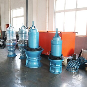 潍坊潜水泵厂家专利技术打造双螺式污水污物潜水电泵