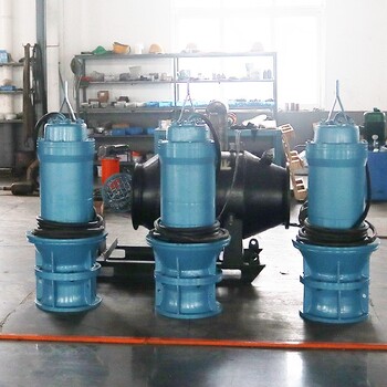 潜水泵厂家闸门式单向贯流泵专利产品