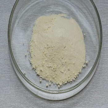 北京海淀生产骨胶原蛋白质量可靠