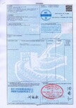 声明上海埃及使馆认证,埃及加签图片1