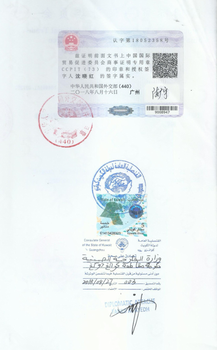 阿根廷使馆阿根廷认证,设备公司要求做越南驻华使馆认证（未婚公证书）
