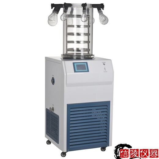 小型冻干机LGJ-10真空冷冻干燥机供应商价格