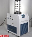 信陵仪器实验室冻干机,石墨烯冻干机真空冷冻干燥机供应价格图片0