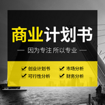 拓金投资咨询项目备案报告,上海嘉定代写项目可行性研究报告物超所值的图片4