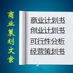 广安市招商项目代写企业投资/价值评估报告