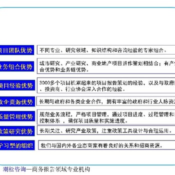 崇左市项目数据分析报告咨询公司可研报告