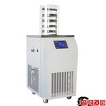 信陵儀器實驗室凍干機,科研凍干機LGJ-12真空冷凍干燥機供應商報價圖片2