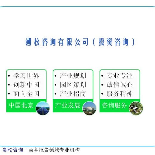 濮阳市项目数据分析报告替写法可研报告