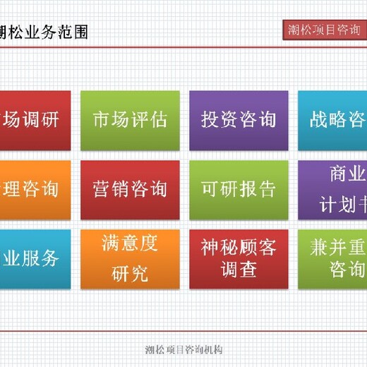 濮阳市项目可行性研究报告代写企业价值分析报告