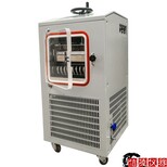 信陵儀器中型冷凍干燥機,膠體金冷凍干燥機0.6平方真空凍干機圖片1