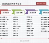 菏泽市成武县招商项目代写企业投资/价值评估报告