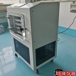 信陵仪器原位真空冻干机,4升生物多肽真空冷冻干燥机LGJ-30FD图片3