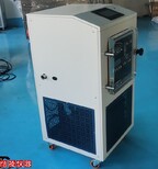 信陵仪器中型冷冻干燥机,检测试剂冷冻干燥机LGJ-30FD真空冻干机图片1