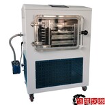 信陵仪器中型冷冻干燥机,化妆品中试压塞真空冻干机LGJ-10FD价格图片2