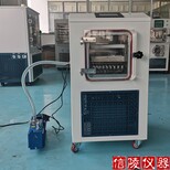 信陵儀器中型冷凍干燥機,膠體金冷凍干燥機0.6平方真空凍干機圖片0