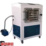 信陵仪器电加热冷冻干燥机,检测试剂冷冻干燥机LGJ-50FD真空冻干机图片3