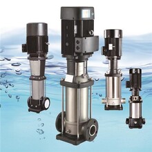 山東威海亞龍泵業蒸汽鍋爐高溫補給水泵不銹鋼立式多級離心泵圖片