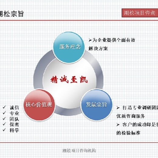 阳江市项目数据分析报告迅速做企业融资报告