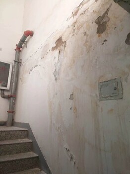 广东深圳承接厂房屋顶防水隔热,外墙防水公司