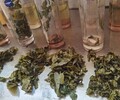 源芽茶廠檸檬茶茶葉,酒泉奶茶茶葉供應商廠家直銷