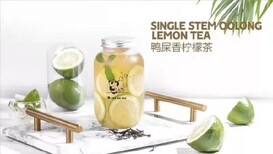 南京奶茶茶叶批发市场柠檬茶茶叶厂家,泰式柠檬茶叶图片0