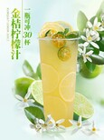 南京奶茶茶叶批发市场柠檬茶茶叶厂家,泰式柠檬茶叶图片1