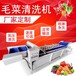 毛菜清洗机JY-5200整棵菜自动翻转消毒洗菜机网链提升蔬菜清洗机直供