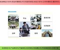 淄博市中央预算内投资项目代写可行性报告