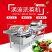 梅菜清洗机JY-5800洗梅菜机子厂家直供蔬菜清洗自动翻转洗洗菜机