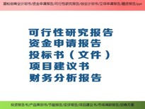 上海金山快速做项目可行性研究报告服务图片1