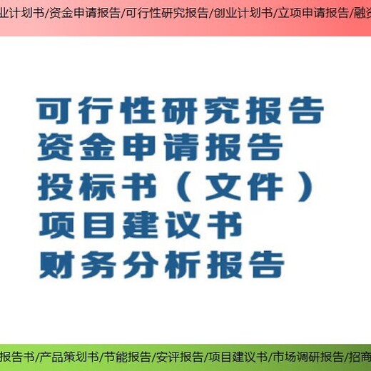 上海杨浦做项目可行性研究报告模板,项目立项报告