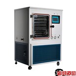 LGJ-100F真空凍干機硅油加熱冷凍干燥機供應商報價,原位硅油真空凍干機圖片5