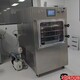 LGJ-100F自动压盖冷冻干燥机一平方冷冻干燥机价格图