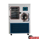 LGJ-100F真空凍干機硅油加熱冷凍干燥機供應商報價,原位硅油真空凍干機圖片3