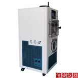 信陵原位硅油真空凍干機,LGJ-100F中試冷凍干燥機硅油加熱冷凍干燥機廠家報價圖片0