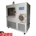 LGJ-50F硅油加热多肽真空冷冻干燥机