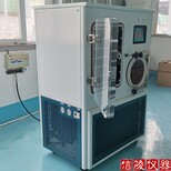 LGJ-30F石墨烯真空冻干机硅油加热冷冻干燥机厂家价格,中型硅油加热冻干机图片1