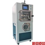 LGJ-30F石墨烯真空冻干机硅油加热冷冻干燥机厂家价格,中型硅油加热冻干机图片5