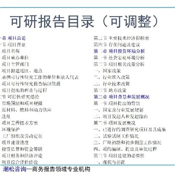 郴州市临武县招商项目dai写内容尽职调查报告/可行性研究报告