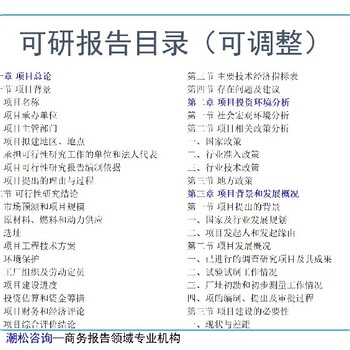 资阳市技改/新建项目收费尽职调查报告/可行性研究报告